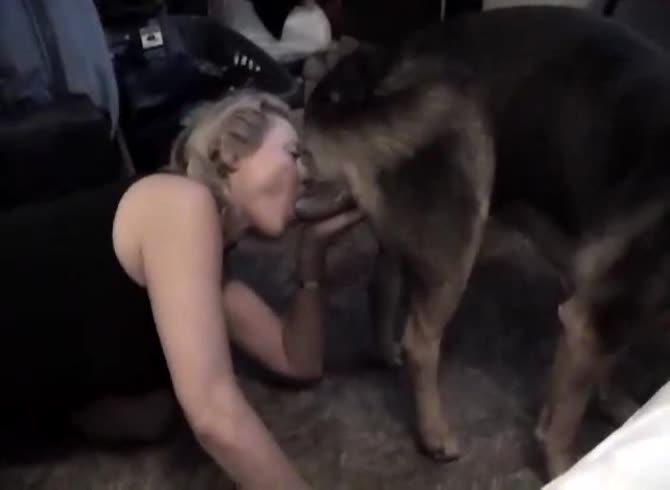 Video :Hot and curvy blonde got banged in dog porno